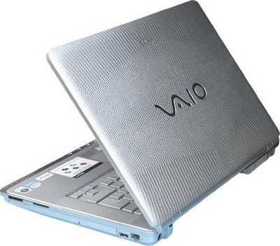Sony VAIO VGN-CR507D/J