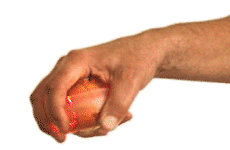 ���������� ��������� ����