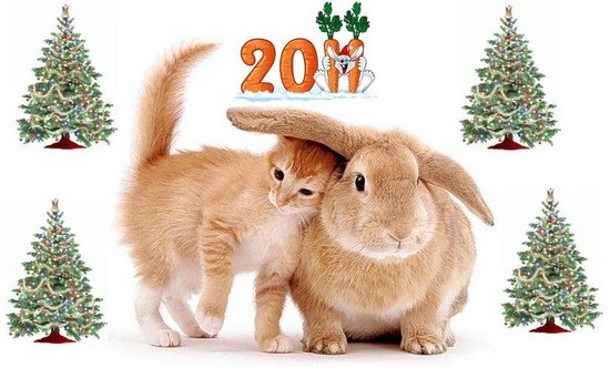 � ����� 2011 �����!